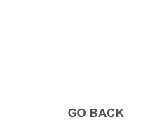          GO BACK